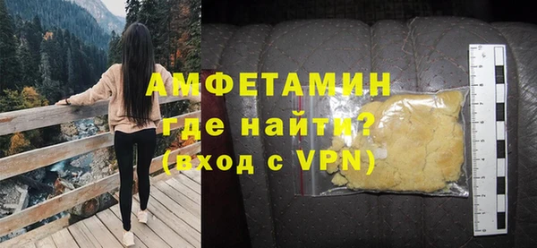 шишки Абаза