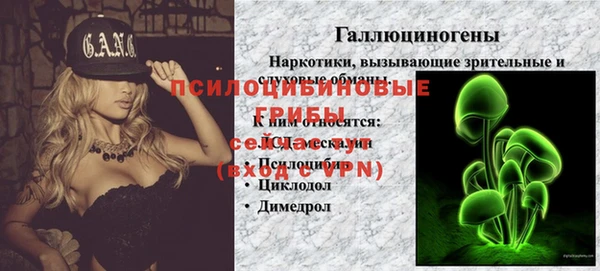 шишки Абаза