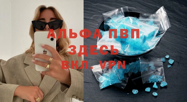 шишки Абаза