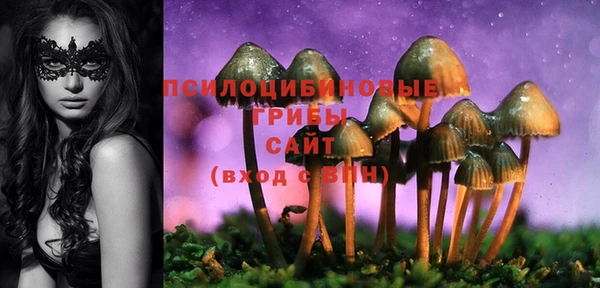 2c-b Абдулино