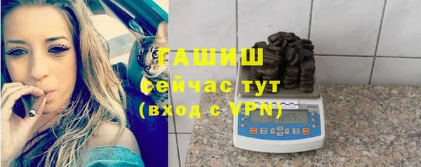 шишки Абаза