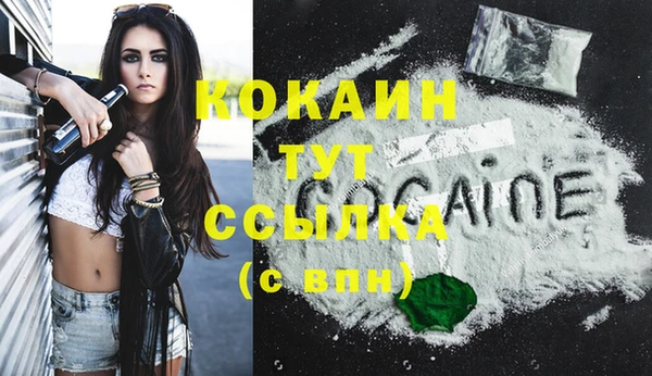 шишки Абаза
