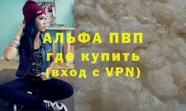 шишки Абаза